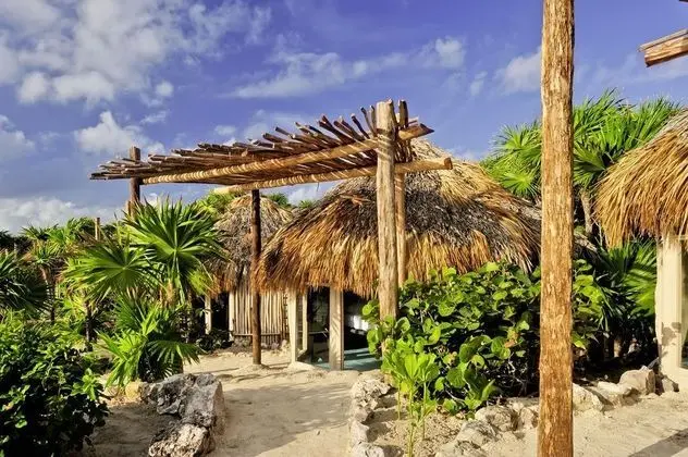 Papaya Playa Project - Genel