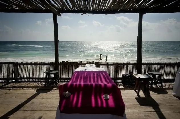 Papaya Playa Project - Genel