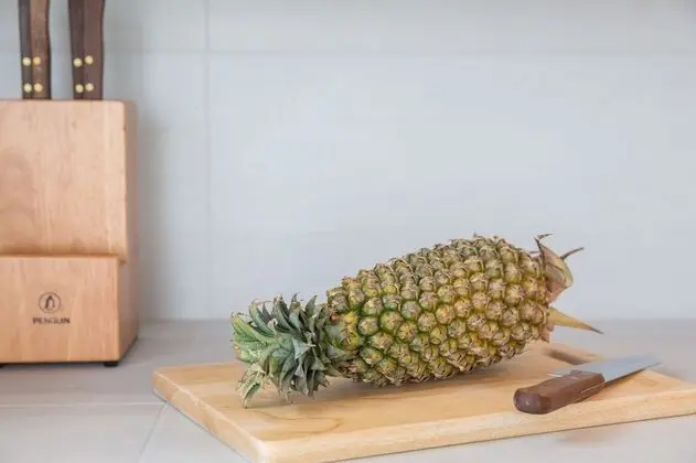 Papaya Studio - Yerinde Yemek