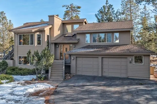 Paper Birch Lane 10