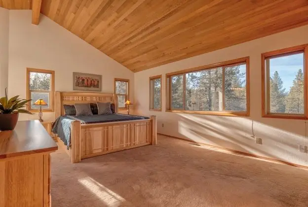 Paper Birch Lane 10 - Oda