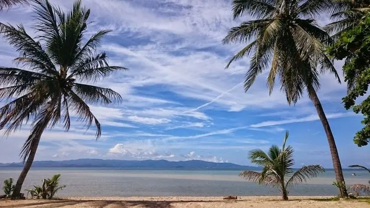 Papillon Bungalows - Plaj