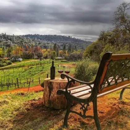 Papillon Cellars - Dış Mekan