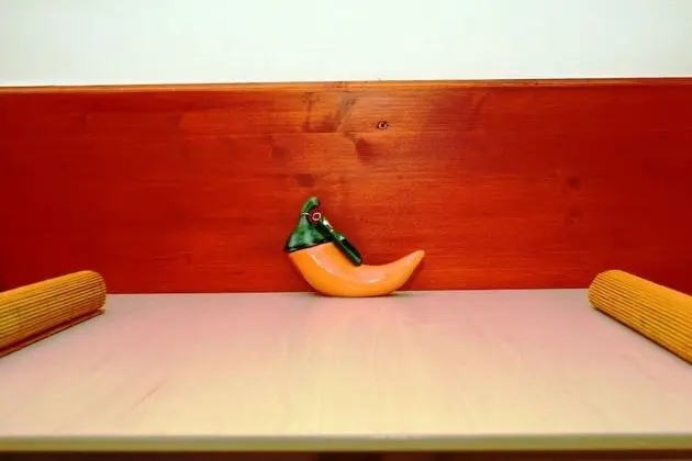 Paprika Apartment Studio - Oda