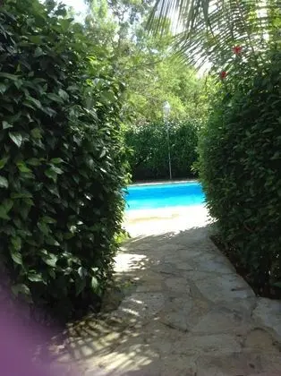 Paradise Apartment - Öne Çıkan Resim