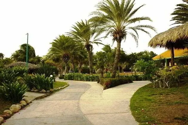 Paradise Coche - 1