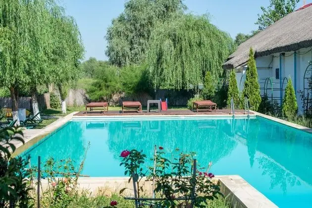 Paradise Delta House - Havuz