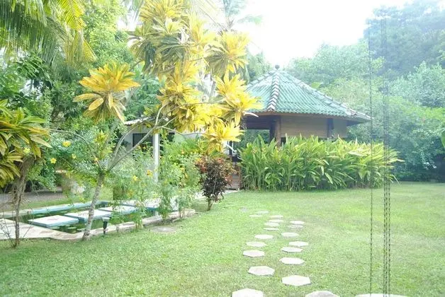 Paradise Garden - Dış Mekan