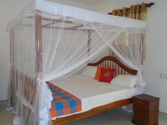 Paradise Junction Guest - Öne Çıkan Resim