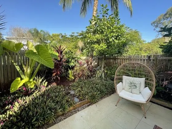 Paradise Palms