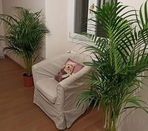 Paradise Rooms - İç Mekan