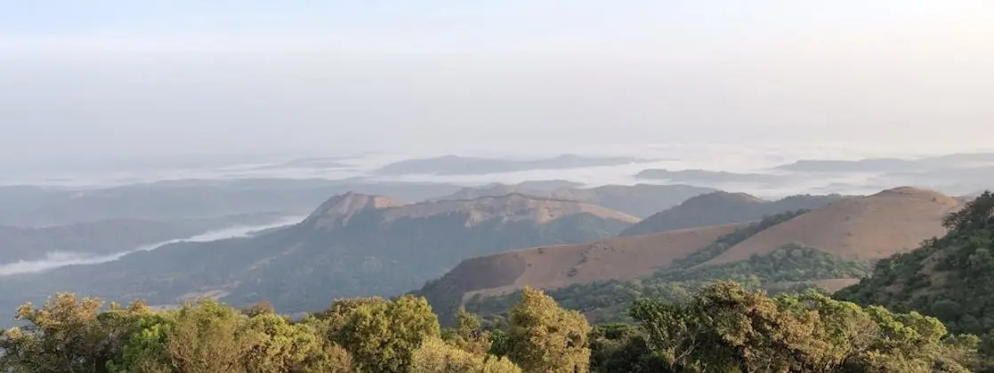 Paradise Wild Hills