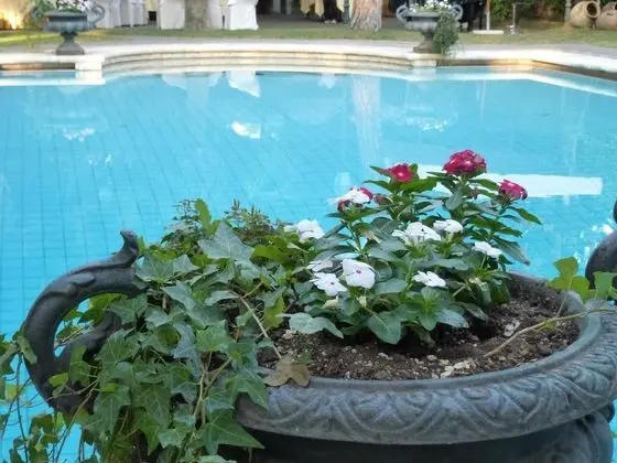 Villa Paradiso dell'Etna .