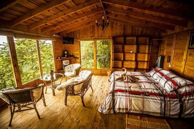 Paraíso Quetzal Lodge - Öne Çıkan Resim