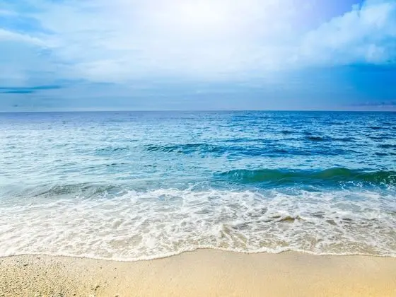 Paraiso Rainforest and Beach Hotel - Plaj