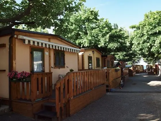 Parco Vacanze Lo Scoglio - Dış Mekan
