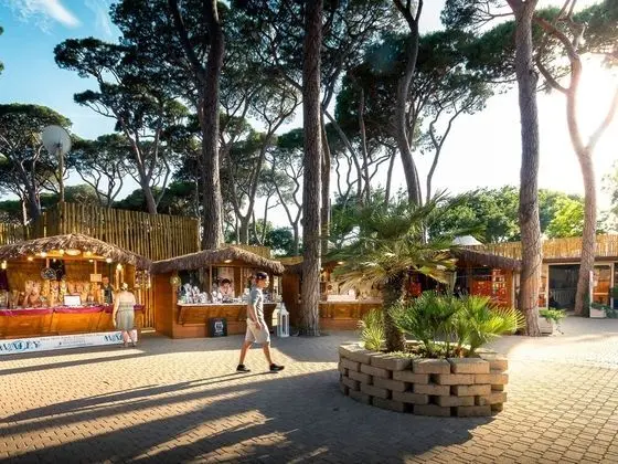 Park Albatros San Vincenzo