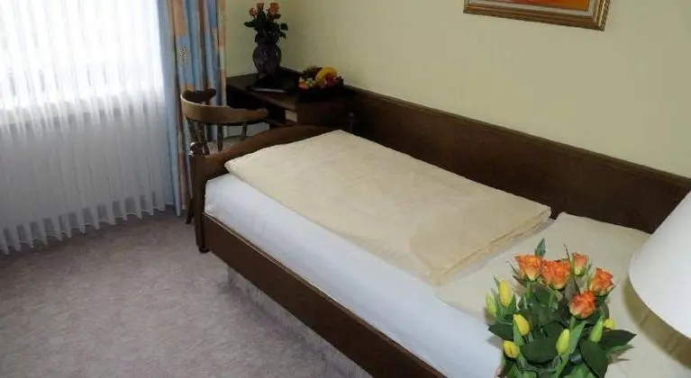 Parkhotel Bergheim - Genel