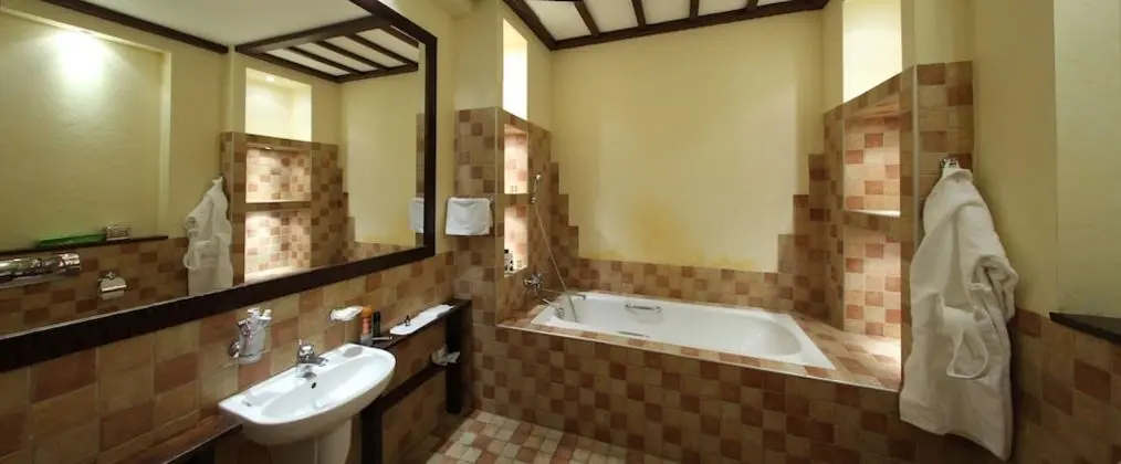 Park-Hotel Butenko Stable - Banyo Tipleri