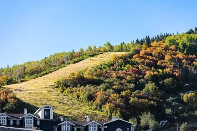 Park City Paradise - Dış Mekan