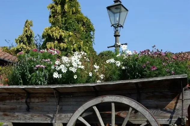 Park Farm Country Hotel & Leisure