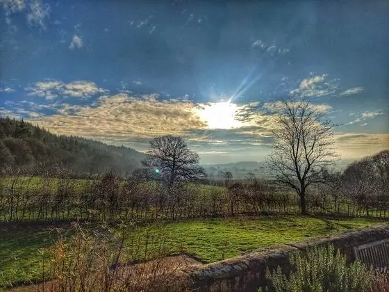 Park House Country Guest House - Dış Mekan