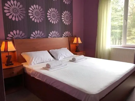 Park Hotel Imeri