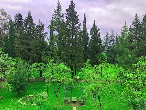 Park Hotel Imeri
