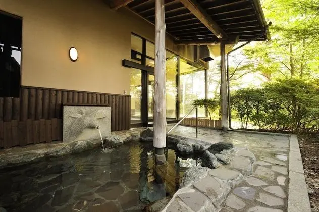 The Park Hotel Jodogahama - Havuz