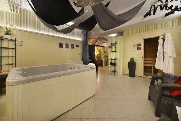 Parkhotel Morris Nový Bor - Havuz