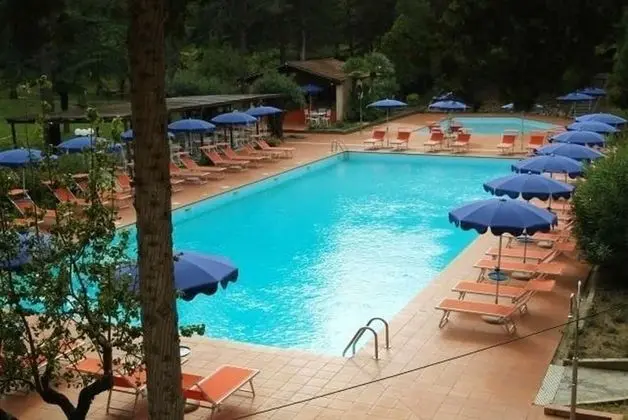 Park Hotel Napoleone - Havuz