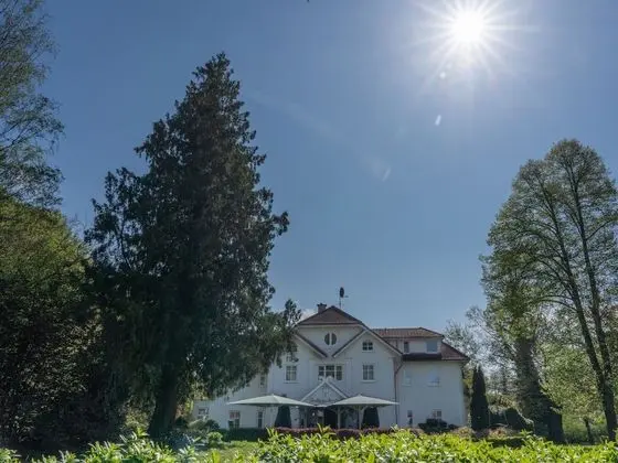 Parkhotel Neustadt - Oda Düzeni