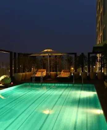 Park Plaza Delhi CBD Shahdara - Havuz