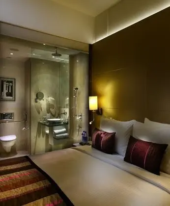 Park Plaza Delhi CBD Shahdara - Oda