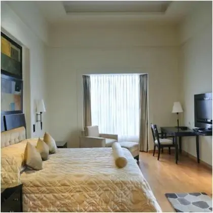 Park Plaza Gurgaon - Oda