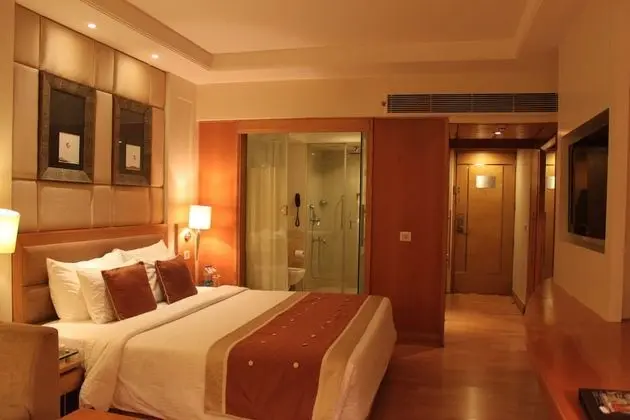 Park Plaza Ludhiana - Oda