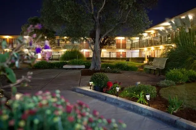 Park Pointe Hotel - Genel