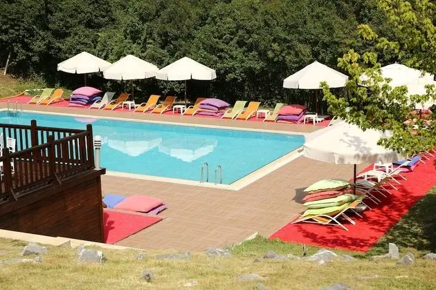 Park Polonezkoy Hotel - Havuz