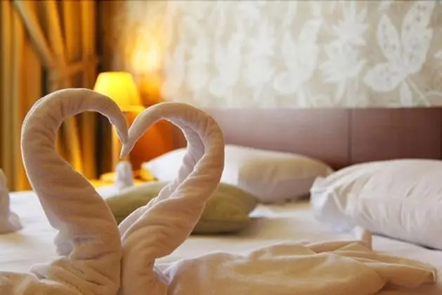 Park Polonezkoy Hotel - Oda