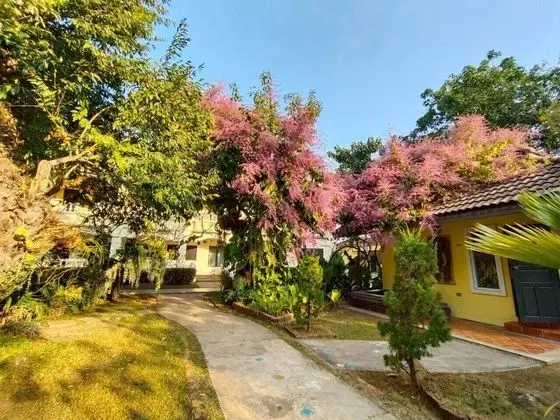 Park & Pool Resort - Dış Mekan