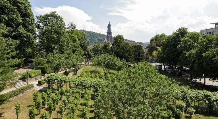 Park Hotel Post - Manzara / Peyzaj