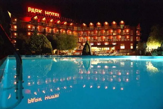 Park Hotel - Havuz