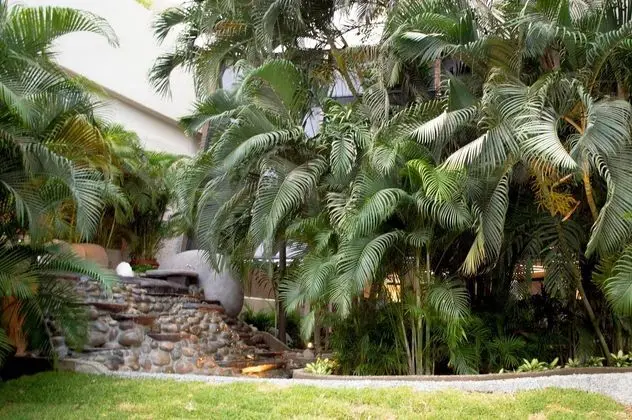 Park Royal Beach Ixtapa - Oda