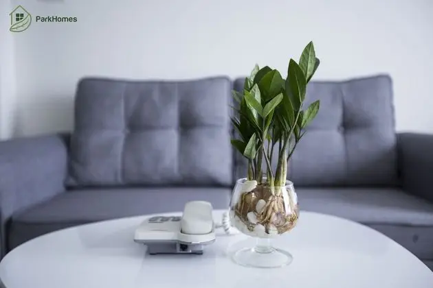 Parkhome Apartment - İç Mekan