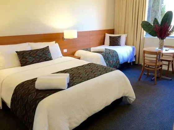 Parkview Motor Inn - Oda