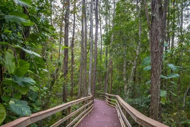 Parkway International by Diamond Resorts