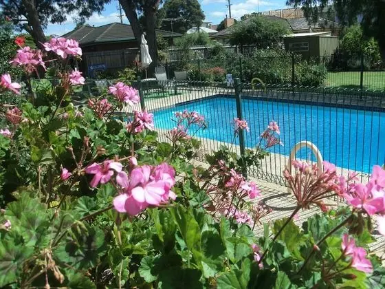 Parkwood Motel and Apartments - Havuz