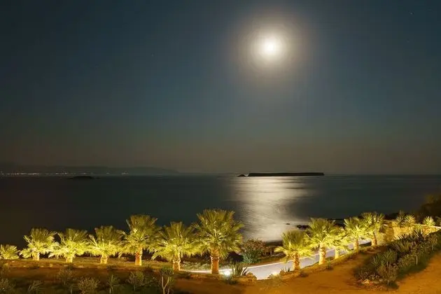 Paros Blue Dolphin