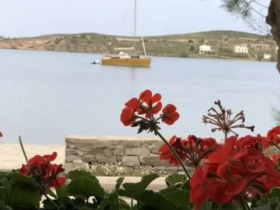 Hotel Paros - Dış Mekan