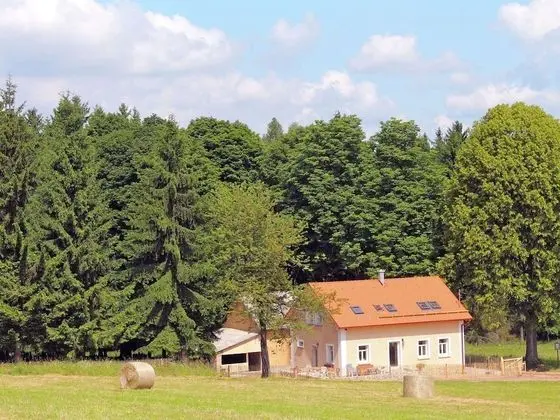 Particularly Beautiful, Renovated House With Stunning Views on the Edge of the Bohemian Forest